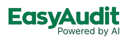 EasyAudit AI